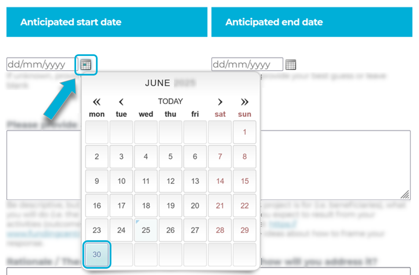 A screenshot of a form where the date field is shown. A calendar is in view, with Day 30 selected as an example of what a selected day displays as. The format dd mm yyyy is displayed in the date field.